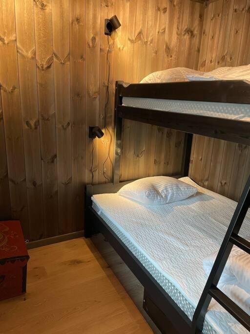 Ski In/Out, Amazing Views, 3 Bedrooms Noresund Luaran gambar